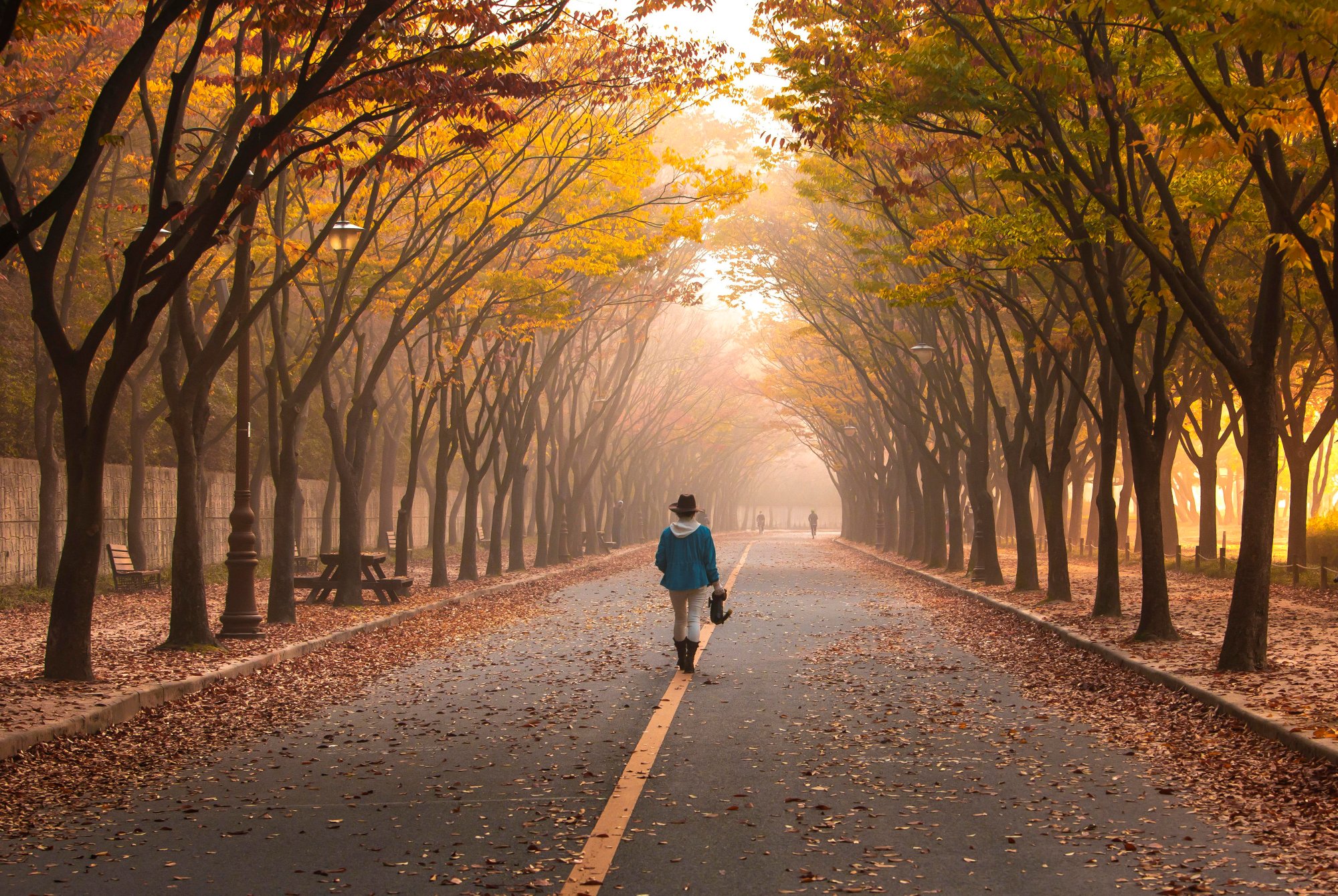 gangcunseong road 5767221