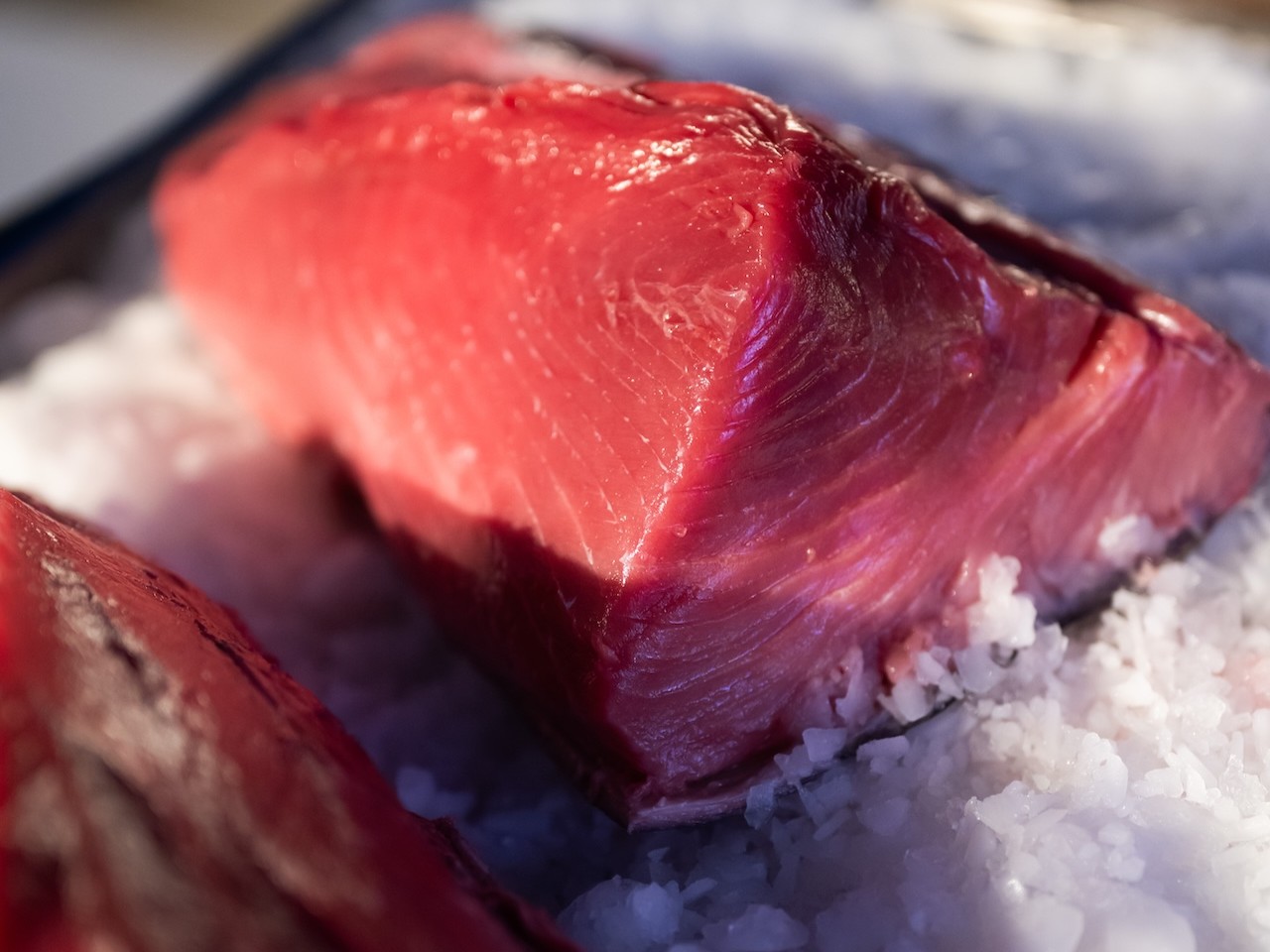 Tuna
